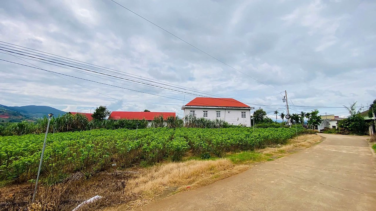 Khu đất cụm Tầm Xá Nam Ban, nhà mái đỏ, vườn xanh, view núi phía xa