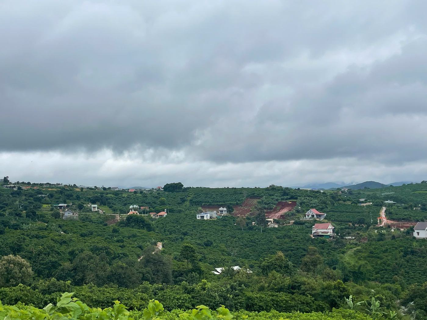 Đất 138m² Nam Ban view đồi cà phê khu dân cư - ảnh 2