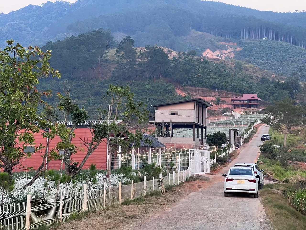 View đồi thông và khu dân cư nghỉ dưỡng Nam Ban lúc chiều